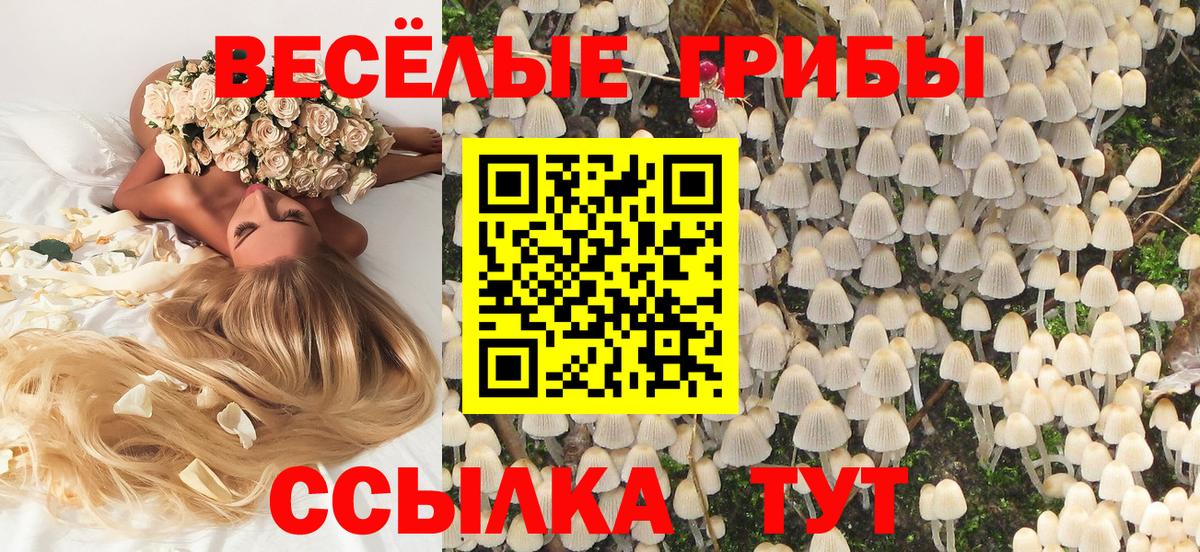 Галлюциногенные грибы прущие грибы  Вход с VPN  Бузулук 